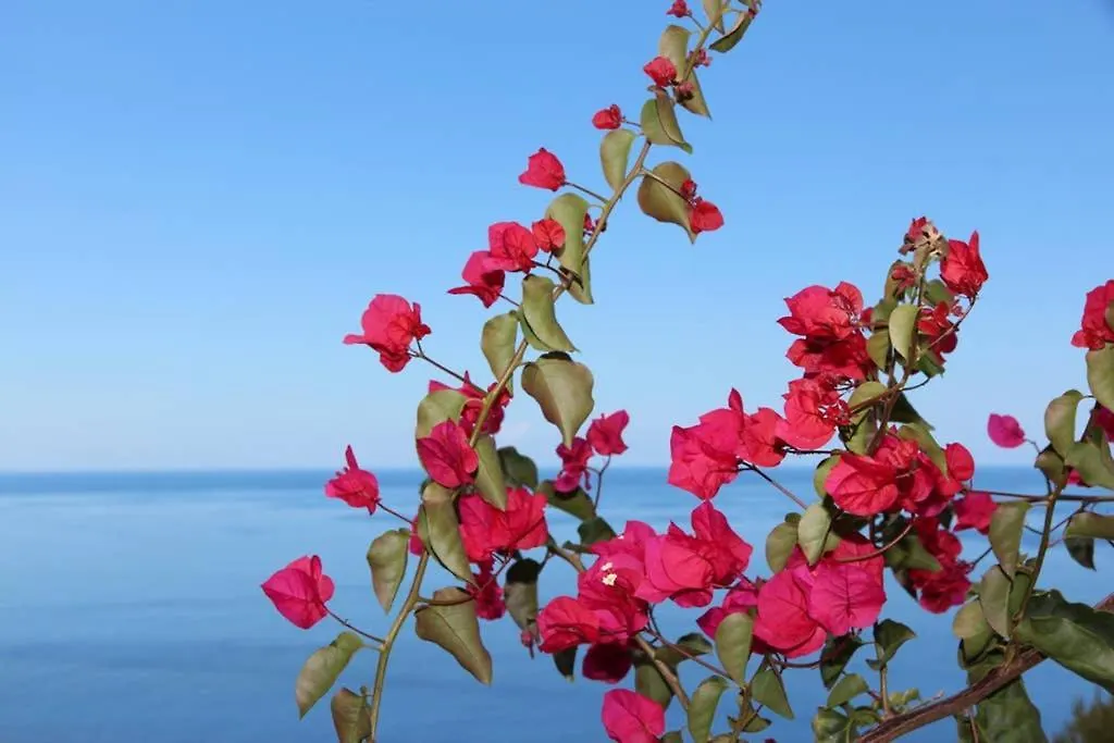 Appartement Apartamento Mar Azul Calheta