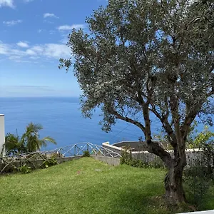 Ferienhaus Cozy Sea View House Faja Da Ovelha, Calheta (Madeira)